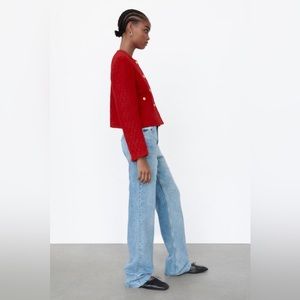 JACKET & SKIRT Zara Burgundy Structured Double Breasted
